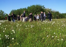 Sur le champ de la bataille du Grand-Auverné Sur le champ de la bataille du Grand-Auverné