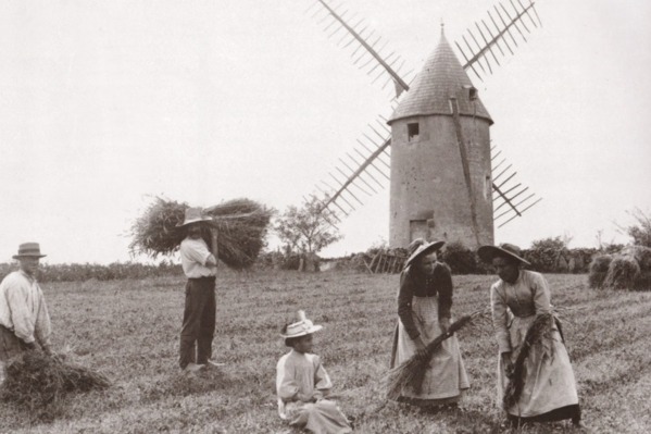 Un moulin vendéen ça déménage : le moulin du film « Vent de Galerne » est aujourd'hui au Puy du Fou. Un moulin vendéen ça déménage : le moulin du film « Vent de Galerne » est aujourd'hui au Puy du Fou.