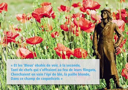 « L’épi de blé, la paille blonde, dans ce champ de coquelicots… » « L’épi de blé, la paille blonde, dans ce champ de coquelicots… »
