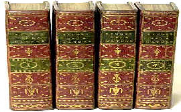 Vu Place Viarmes ce Week-end : la bibliothèque et une partie des archives de Charles Arnault, l'historien Choletais